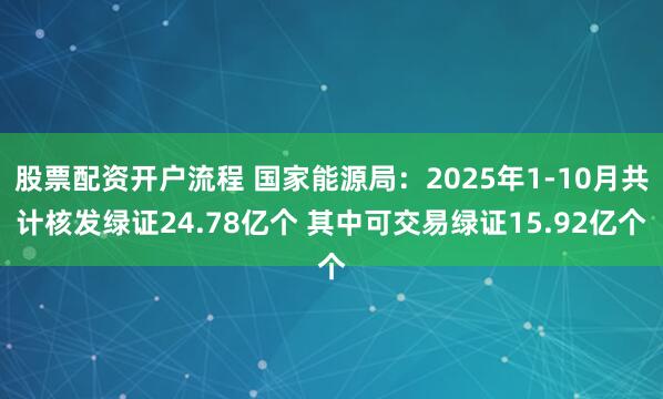 股票配资开户流程 国家能源局：2025年1-10月共计核发绿证24.78亿个 其中可交易绿证15.92亿个