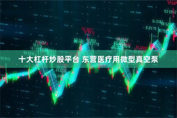 十大杠杆炒股平台 东营医疗用微型真空泵