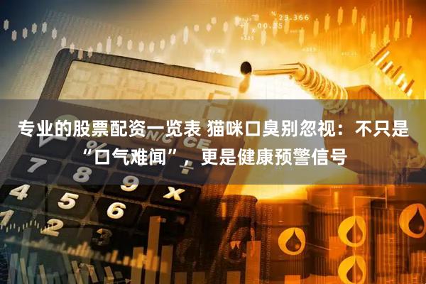 专业的股票配资一览表 猫咪口臭别忽视：不只是“口气难闻”，更是健康预警信号